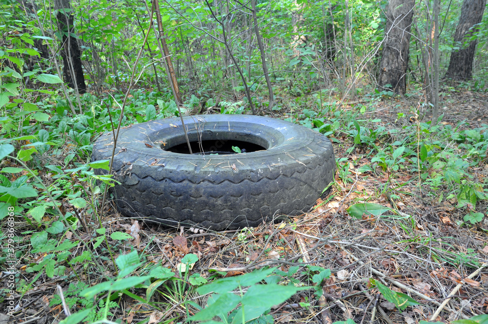 An old car tire left in the forest. Littered with the natural environment.