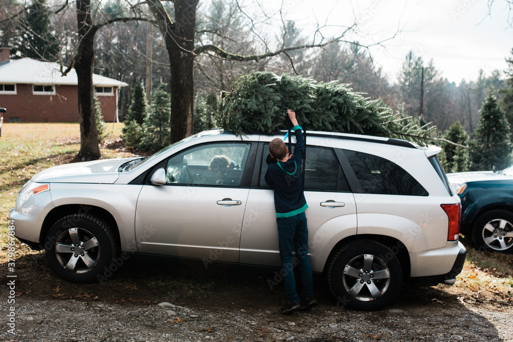 teen putting tree on the car teen putting tree on the car