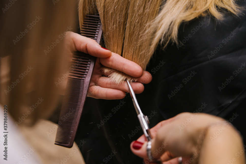 Naklejka premium A young woman cuts her hair with scissors. The girl combs her hair. Professional hair care products.