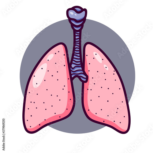 Human lungs in cartoon style.  Lungs logo or icon with bronchi.  Isolated on white background, there is a place for an inscription