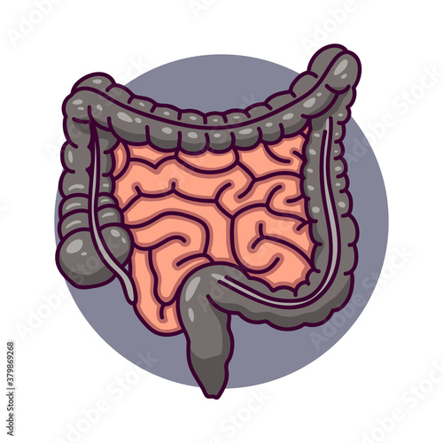 Human intestines in cartoon style.  Human digestive system.  Human intestines icon or logo for medicine.  Isolated on white background there is a place for an inscription