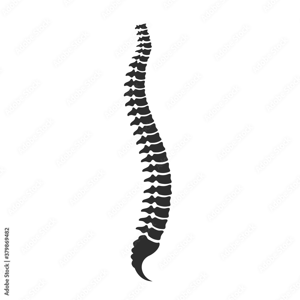 Simple spine cord vector icon Simple spine cord vector icon