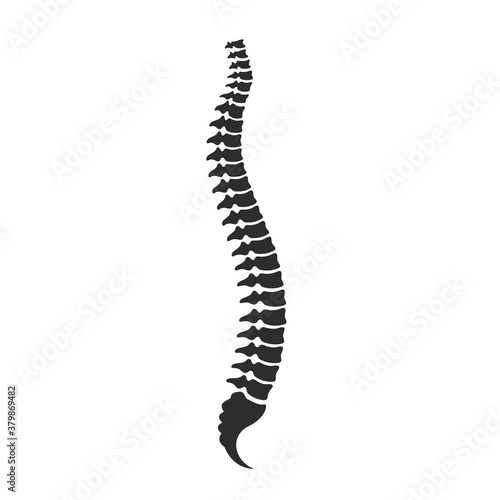 Simple spine cord vector icon