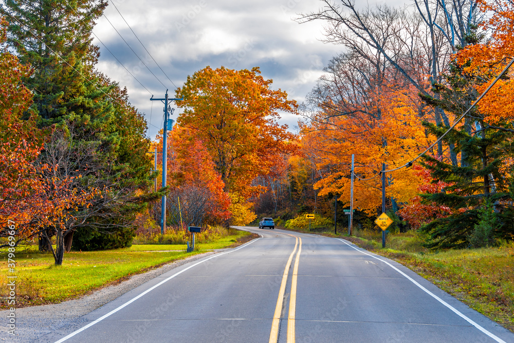 A Road at Autumn in Door County of Wisconsin