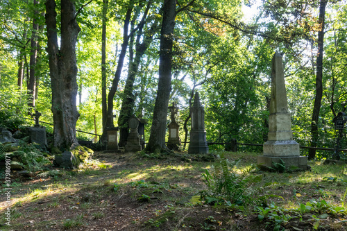 Mysterious old forest cemetery in Cesky Raj (Czech Paradise) near Mala Skala, Turnov, Czechia