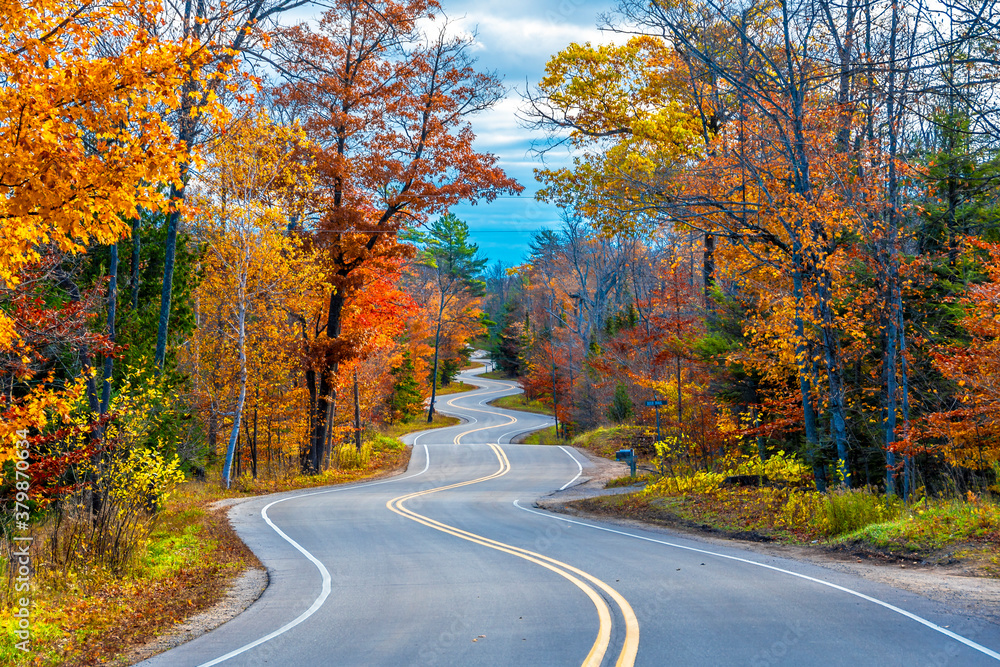 A Road at Autumn in Door County of Wisconsin - obrazy, fototapety, plakaty 