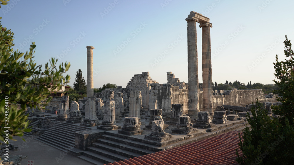 Fototapeta premium Apollon temple didyma Aydın
