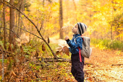 Happy child in a beautiful autumn forest. First hiking in the forest. Bright autumn. © Rina Mskaya