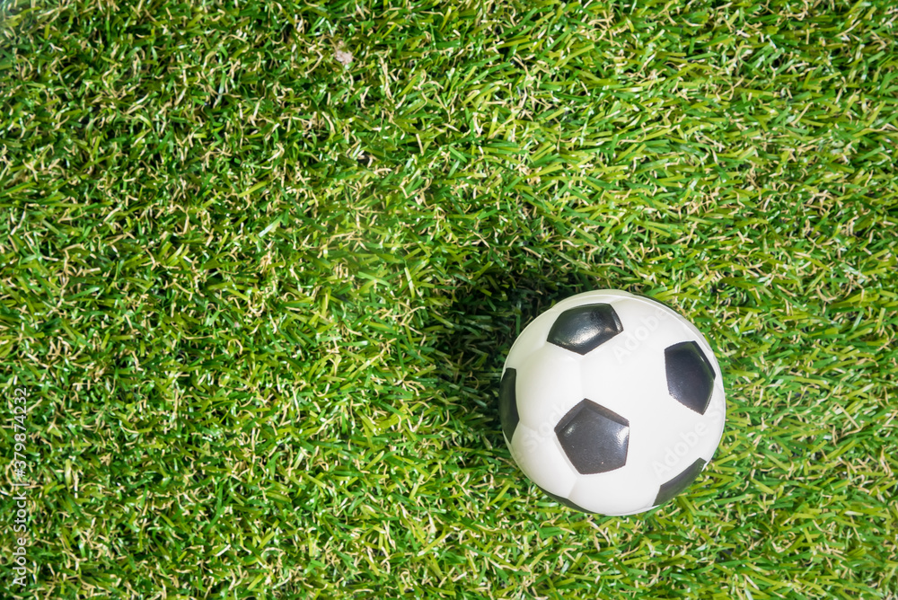 Football concept: football soccer on green grass Football concept: football soccer on green grass