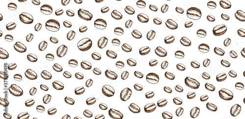 Coffee beans hand drawn	
