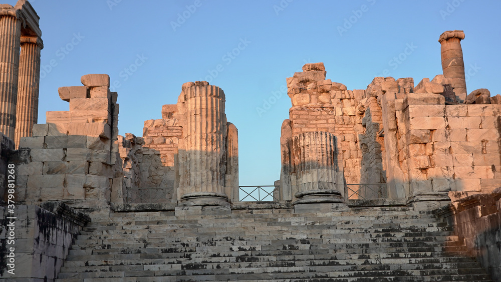 Fototapeta premium Apollon temple didyma Aydın