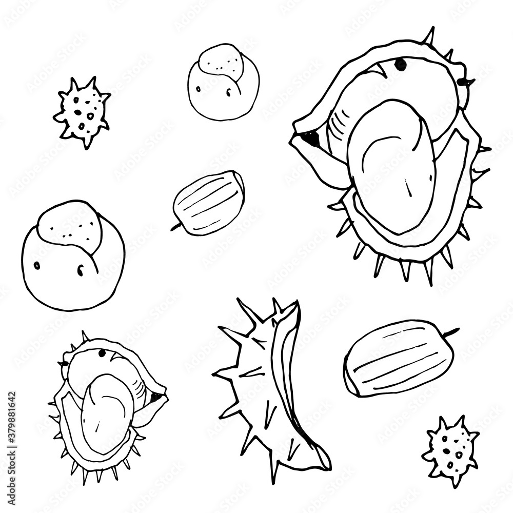 Fototapeta premium Vector stock illustration the gifts of Autumn. Chestnut and acorn pattern.