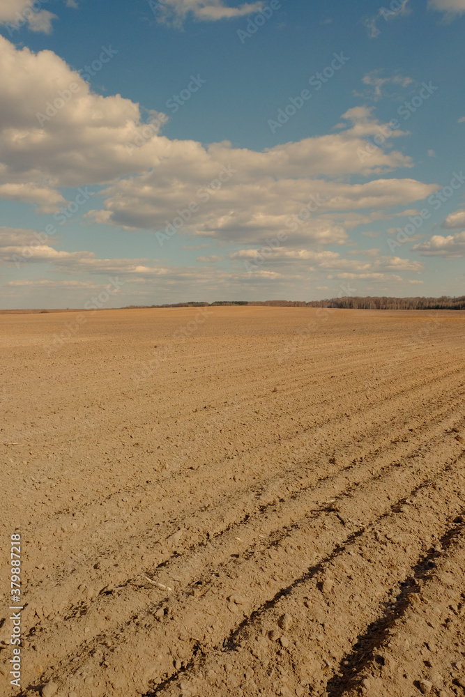 A plowed agricultural field. Blue sky over a farm field. A plowed agricultural field. Blue sky over a farm field.