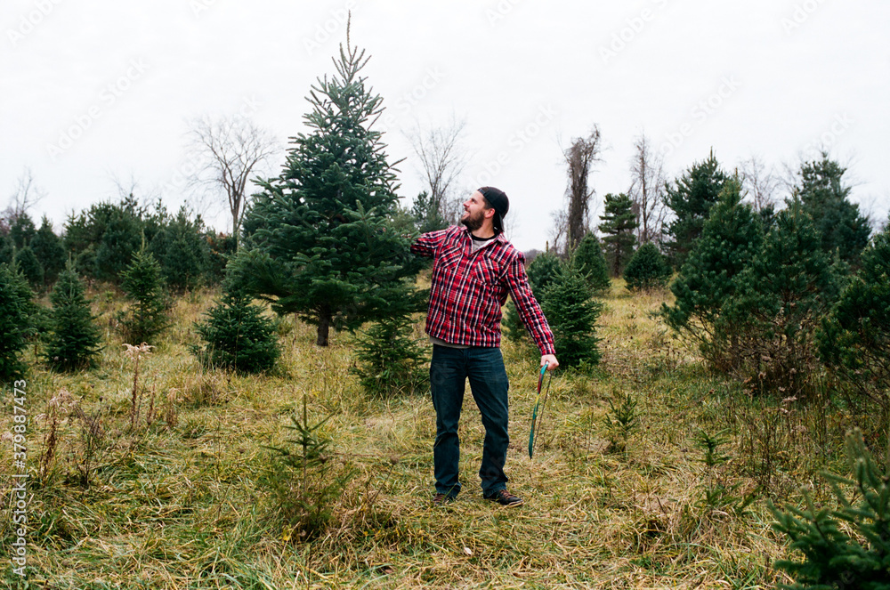 man holds up tree he chopped man holds up tree he chopped