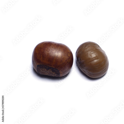 chestnut isolated on white background