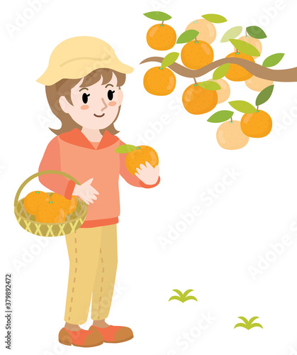 みかん狩りをする女性