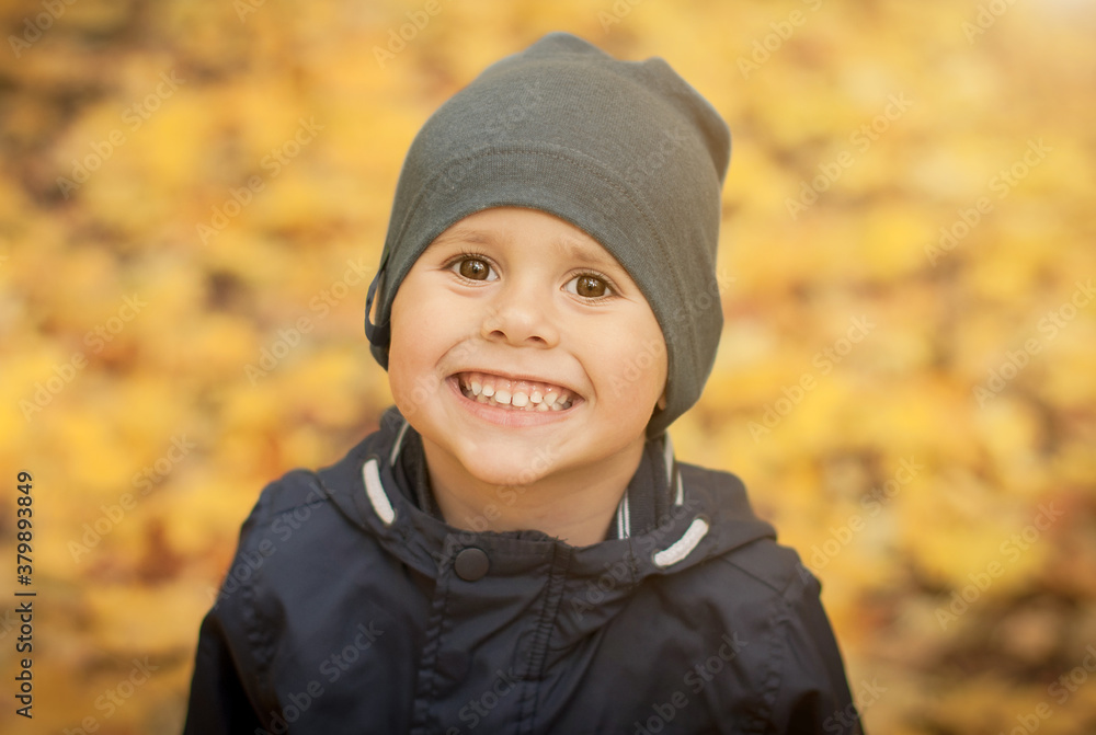 Portrait of a little boy happily smiling in the autumn forest. Portrait of a little boy happily smiling in the autumn forest.