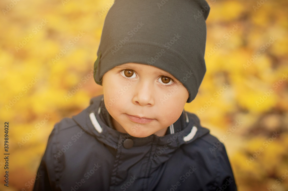 Portrait of a little boywith a serious face in the autumn forest. Portrait of a little boywith a serious face in the autumn forest.