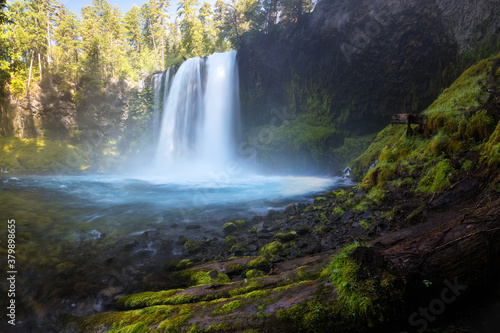 Koosah Falls, also known as Middle Falls, is second of the three major waterfalls of the McKenzie River, in the heart of the Willamette National Forest, in the U.S. state of Oregon. Beautifull sunny 