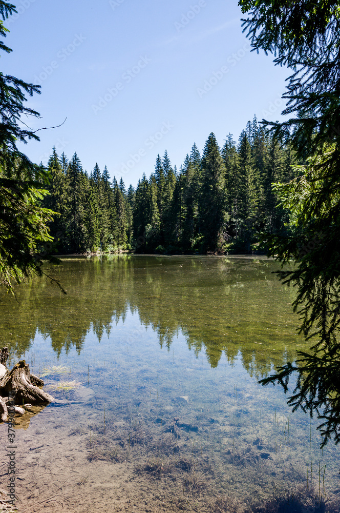 Flims, Lag Prau Tuleritg, Lag Tuleritg, Bergsee, Graubünden, Flimser Wald, Prau Pulté Bach, Caumasee, See, Wanderweg, Tannenwald, Rheinschlucht, Sommer, Alpen, Schweiz Flims, Lag Prau Tuleritg, Lag Tuleritg, Bergsee, Graubünden, Flimser Wald, Prau Pulté Bach, Caumasee, See, Wanderweg, Tannenwald, Rheinschlucht, Sommer, Alpen, Schweiz