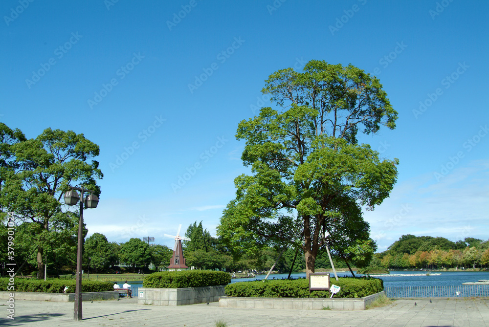 Obraz premium 浮間公園（東京都板橋区）