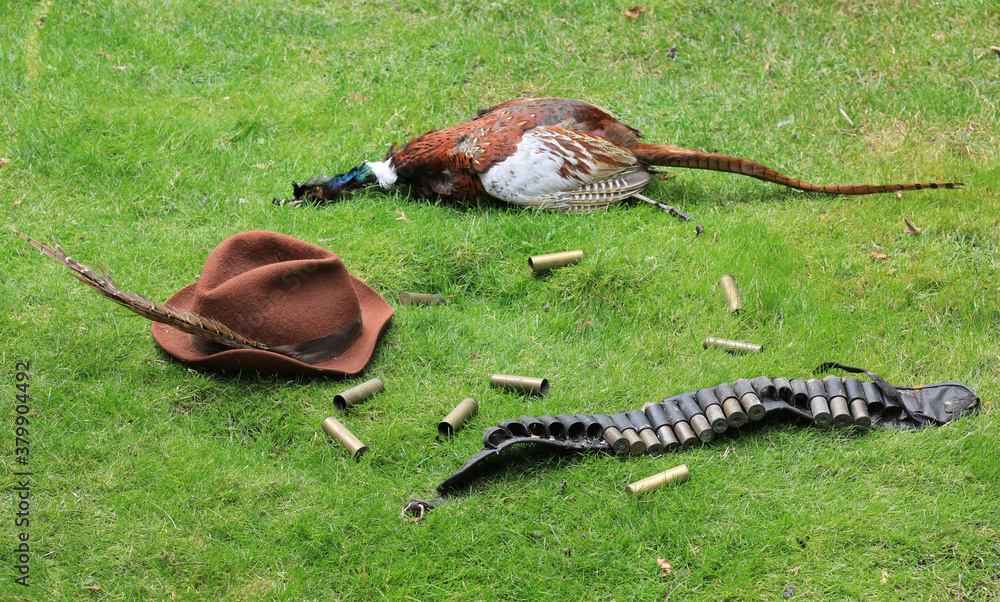 poaching prey,killing animals,hunting trophies Stock Photo Adobe Stock