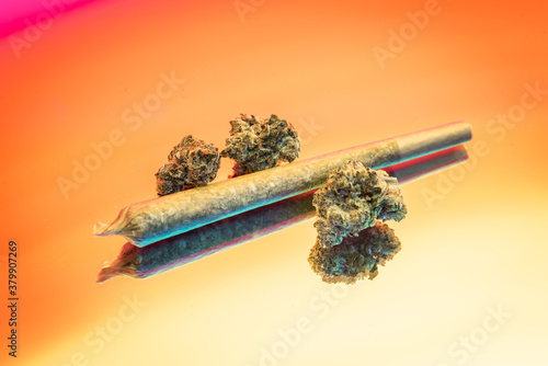 Marijuana Buds and Joint