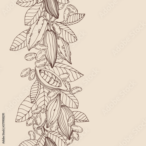 vertical seamless pattern from elements of cocoa tree, seeds, leaves, fruits, for ornament, menu decoration, vector illustration with sepia contour lines on a creamy background in a hand drawn style photo