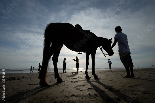 silhouette of a horse and rider © Hendra
