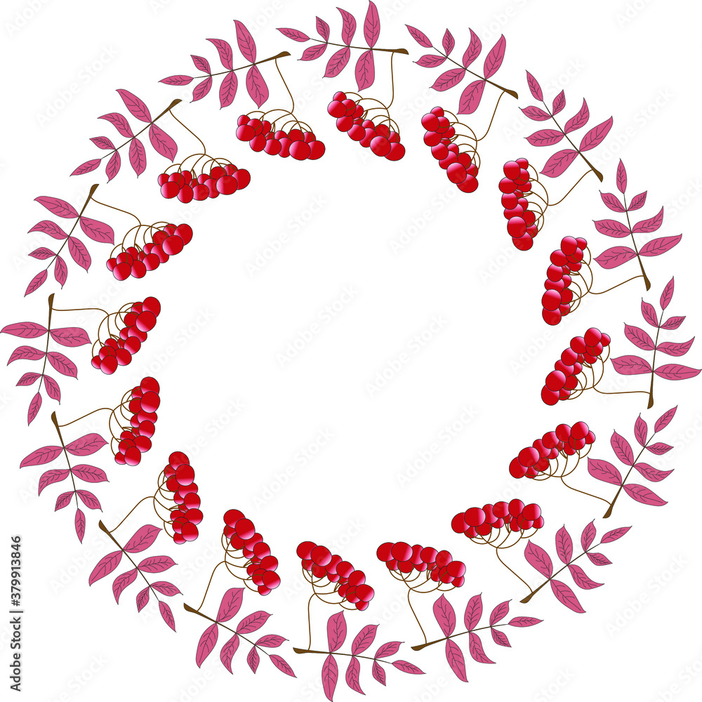 round frame of branches and red berries round frame of branches and red berries