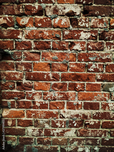 Vintage wall background made for your creative design