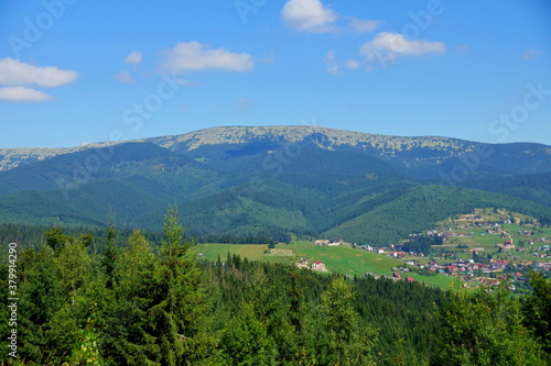 Fototapeta Naklejka Na Ścianę i Meble -  landscape in the summer