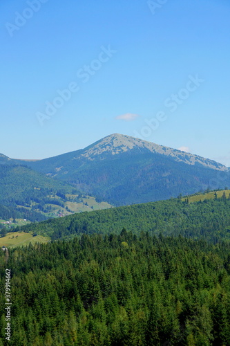 Fototapeta Naklejka Na Ścianę i Meble -  Mount Khomyak (Ukrainian Carpathians)