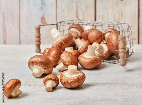 Brown edible mushrooms