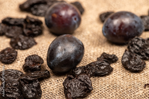 Juicy black plums and dried prunes on a homespun cloth with a rough texture. Close up. Autumn harvest.