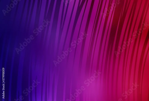 Dark Purple, Pink vector background with bent lines.