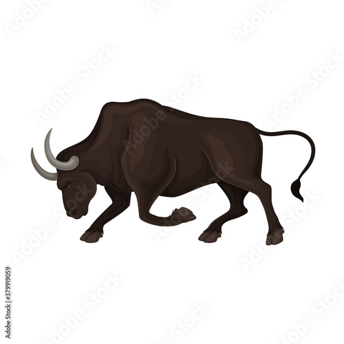Aggressive Bull with Horns as Animal for Spanish Corrida Vector Illustration