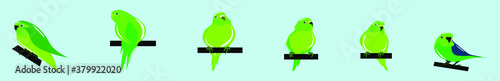 set of budgie cartoon icon design template with various models. vector illustration isolated on blue background