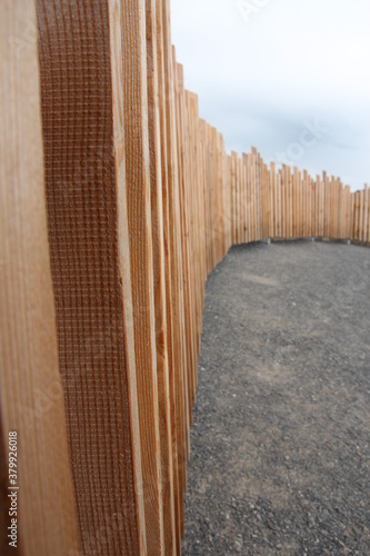 Holz