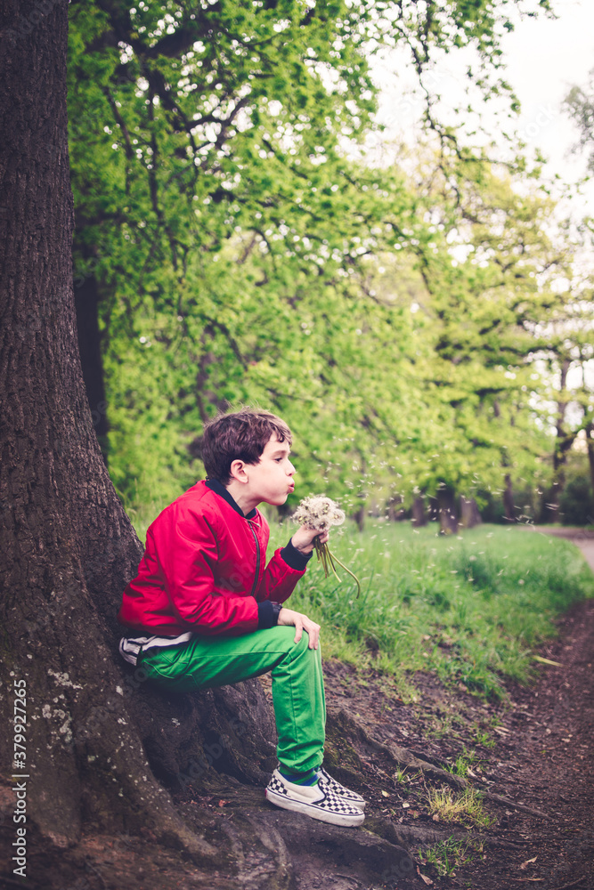 Boy blowing bunch of dandelions under a tree Boy blowing bunch of dandelions under a tree