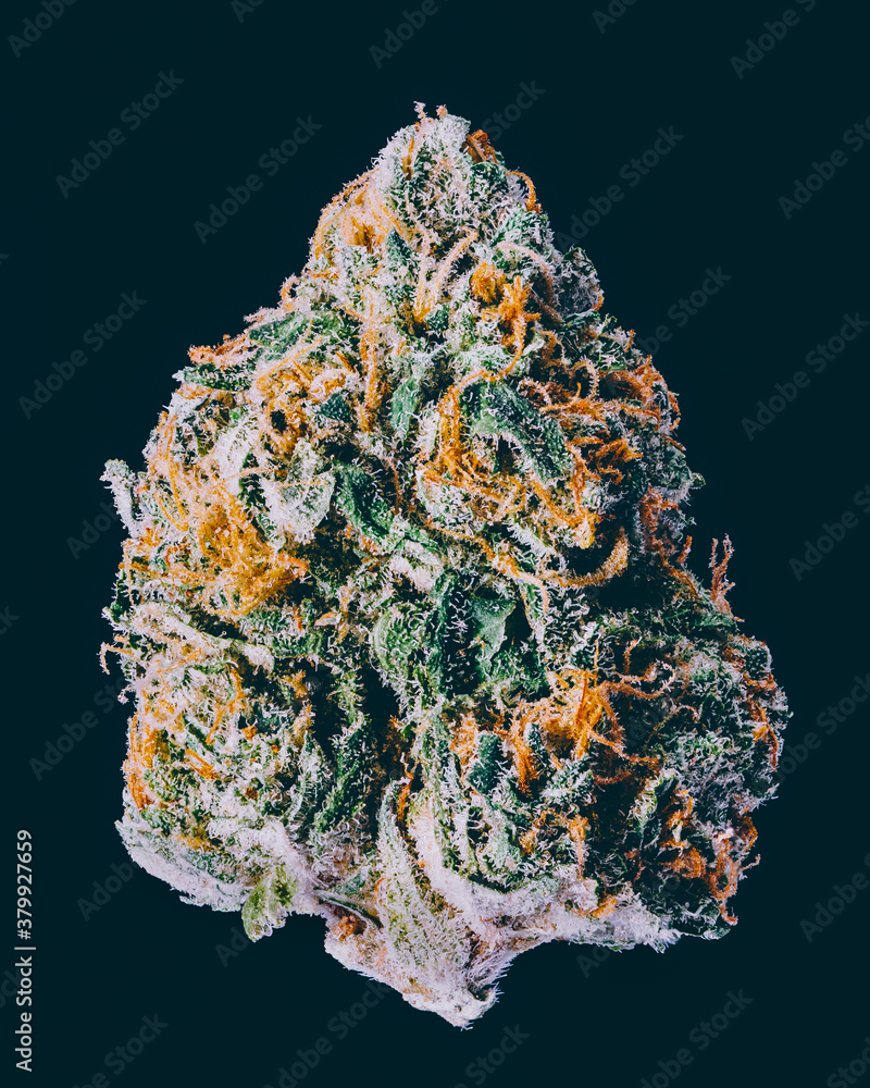 Dragons Breath Dragons Breath