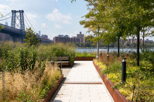Canvas Print Domino Park Riverfront with Green Trees and Plants during Summer with the Willia