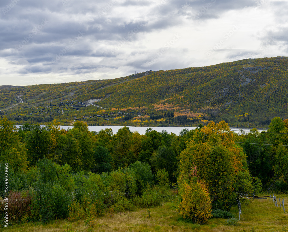 Jesienne kolory nad fjorem Ustedalsfjorden w regionie Buskerud w okolicy miasta Geilo w Norwegii