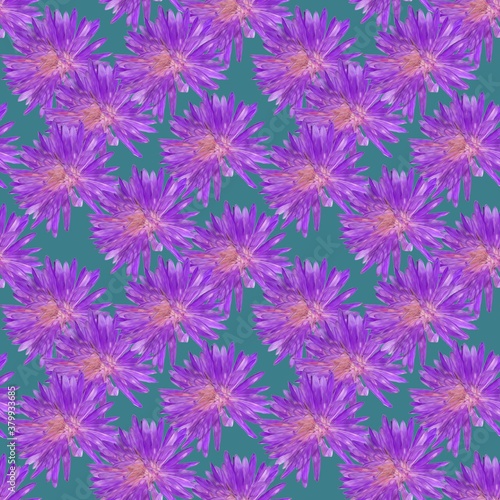 Aster. Illustration  texture of flowers. Seamless pattern for continuous replication. Floral background  photo collage for textile  cotton fabric. For use in wallpaper  covers.