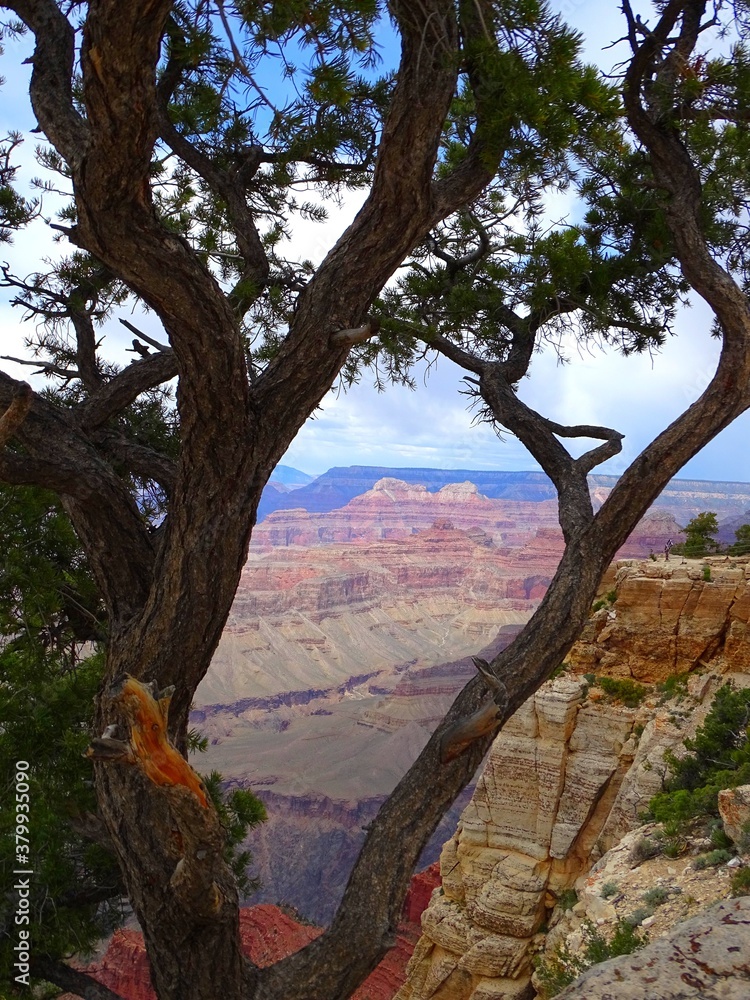 North America, United States, Arizona, Grand Canyon National Park North America, United States, Arizona, Grand Canyon National Park