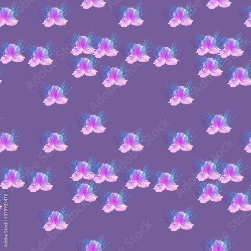 Capers. Illustration, texture of flowers. Seamless pattern for c