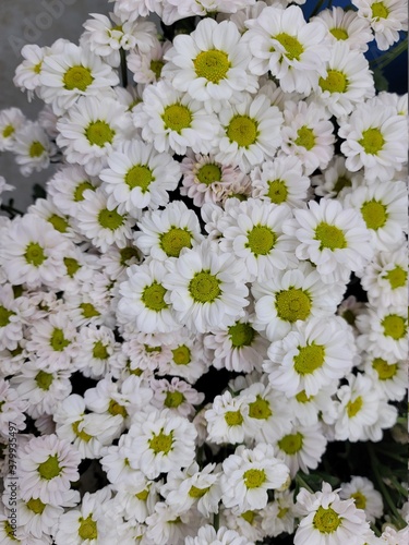 white folwers