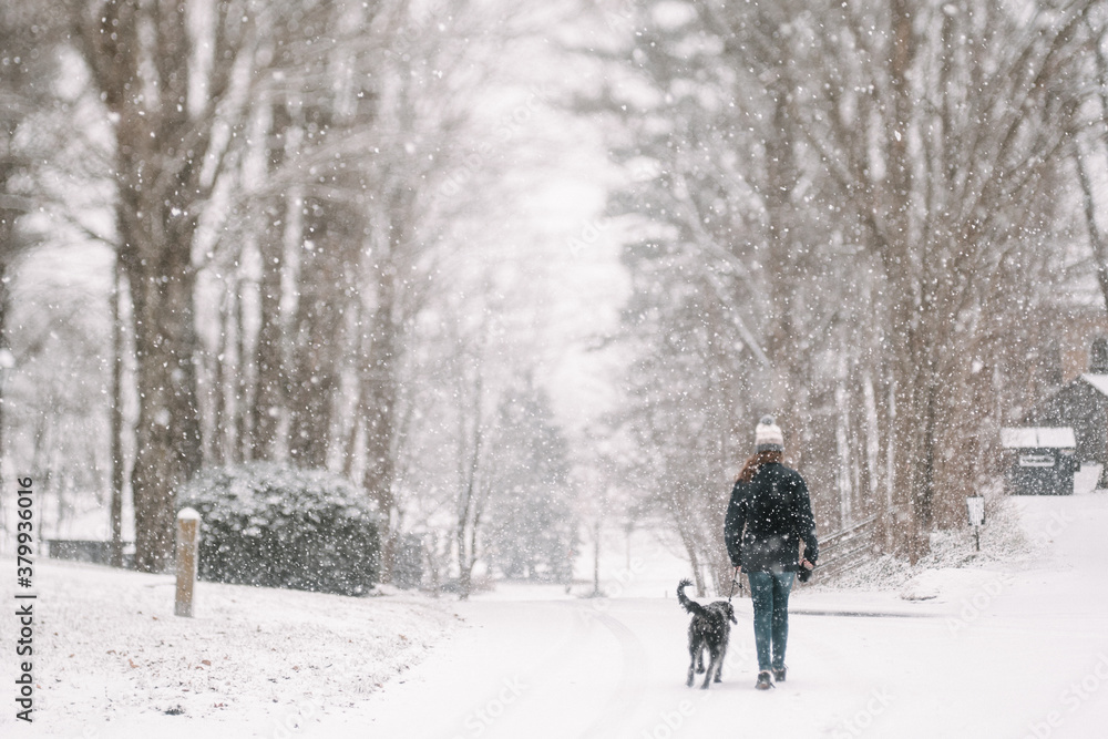 teen and dog in a snow storm teen and dog in a snow storm