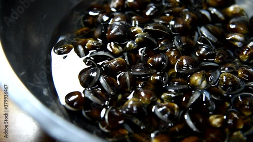 シジミの砂抜き