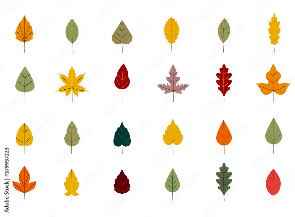 Collection beautiful colorful autumn leaves isolated on white background. Simple cartoon flat style. Autumn leaves of maple, oak, birch. Floral design element. - obrazy, fototapety, plakaty 